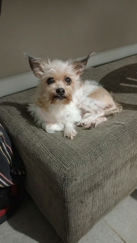 GIF uploaded by Bella