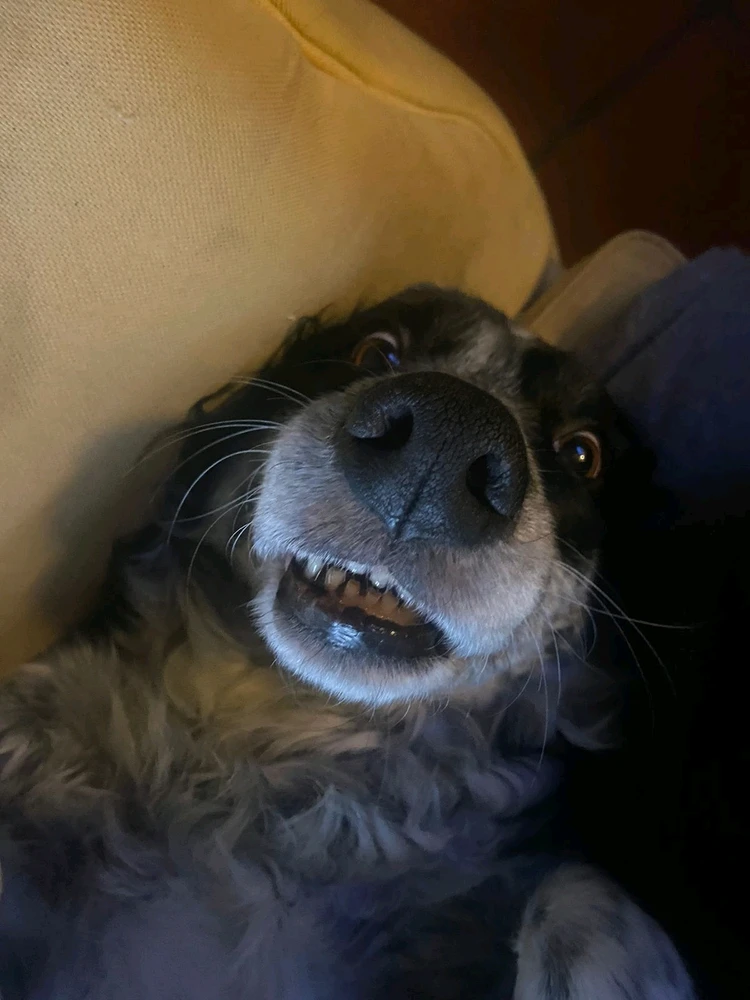 GIF uploaded by Facu