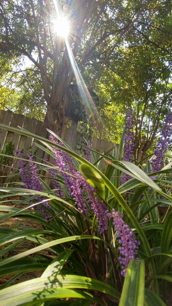 Image uploaded by Breyhana