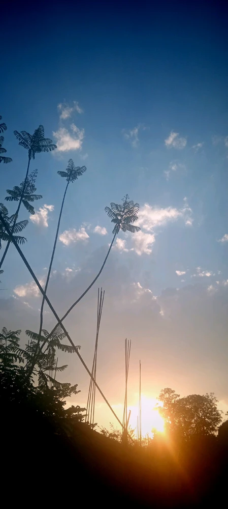 GIF subido por Oscar
