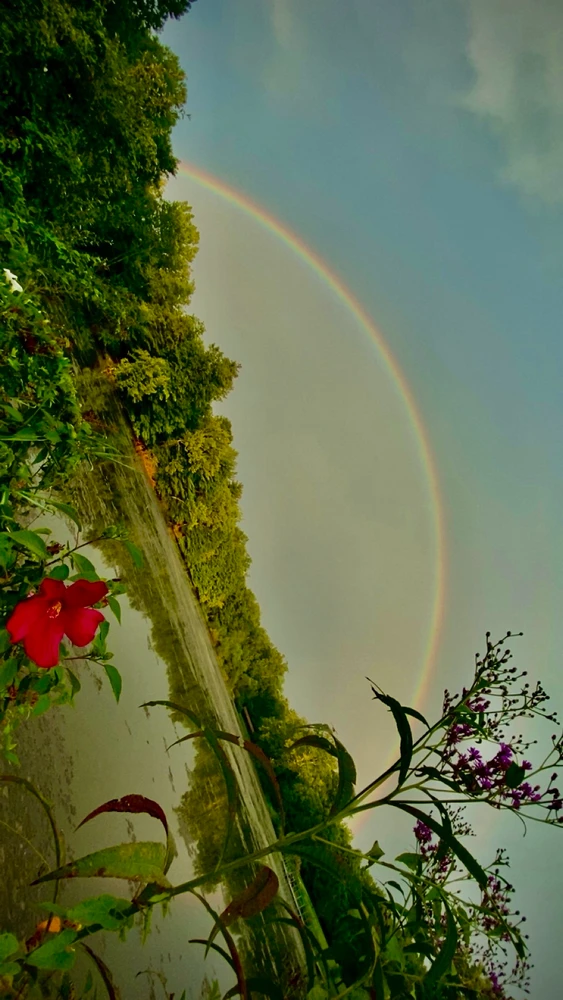 Image uploaded by Breyhana