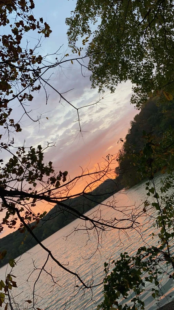 Image uploaded by Breyhana
