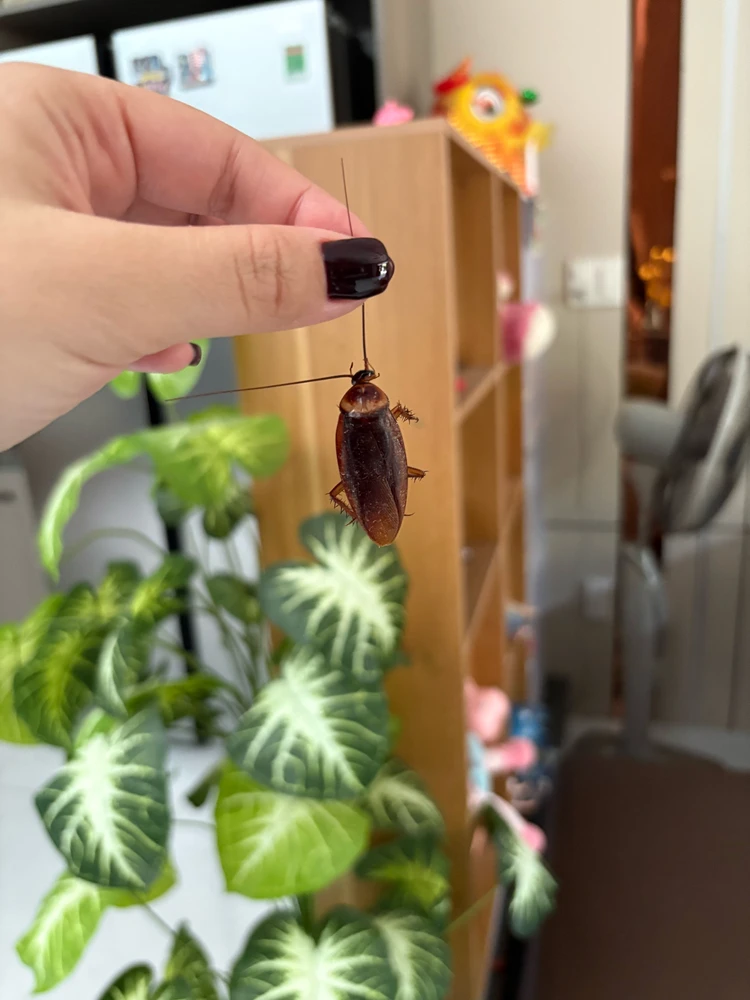 GIF uploaded by Hana