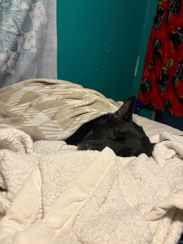 GIF uploaded by Logan