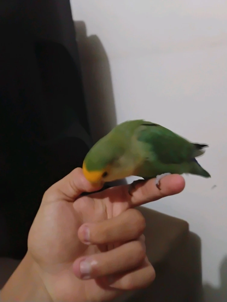 GIF enviado por Danilo