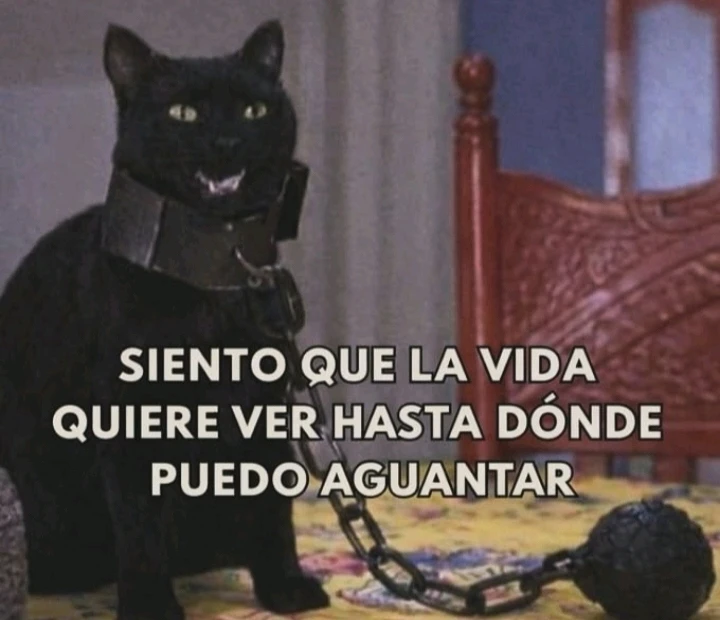 GIF uploaded by Rocio