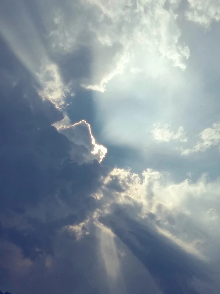 GIF uploaded by Savi