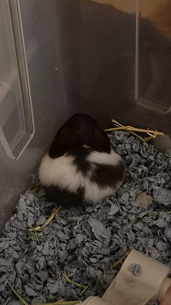 GIF uploaded by Darien