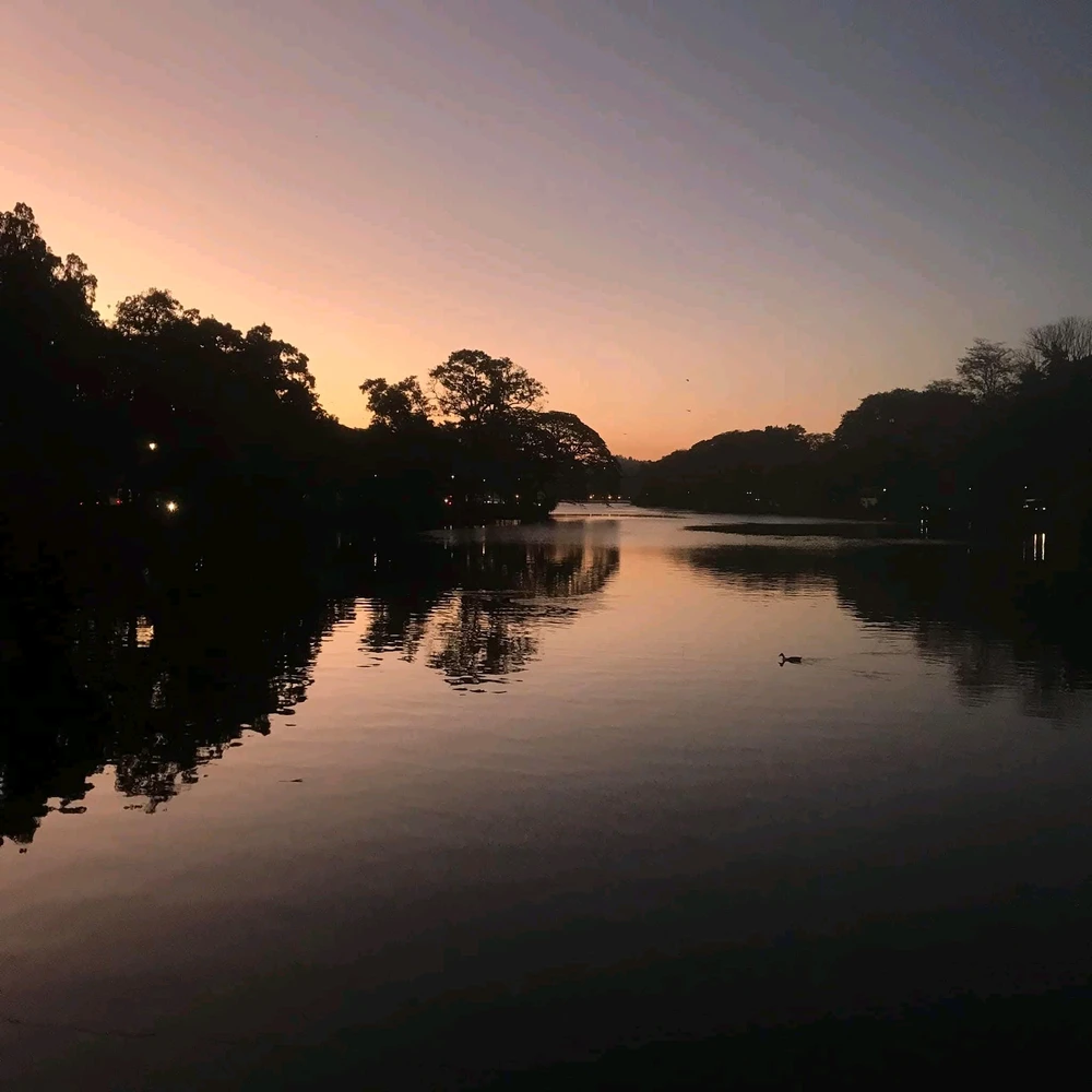 GIF uploaded by S