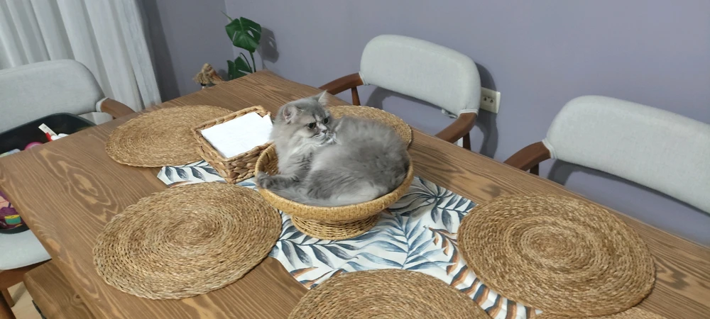 GIF uploaded by Fox