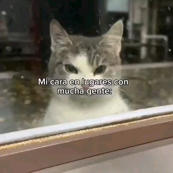 GIF subido por Jaqui