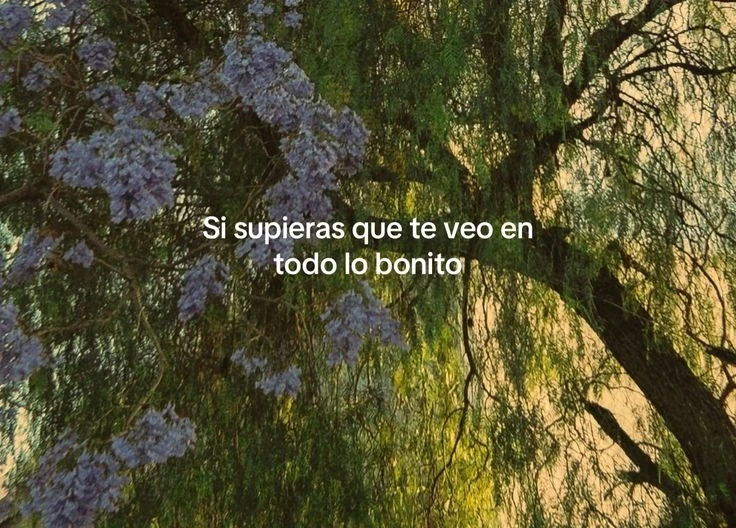 GIF subido por Jaqui