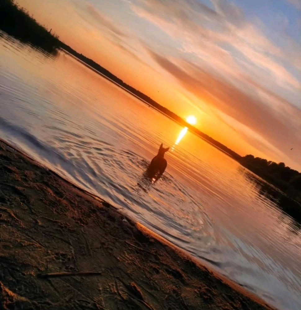 GIF uploaded by Vamps