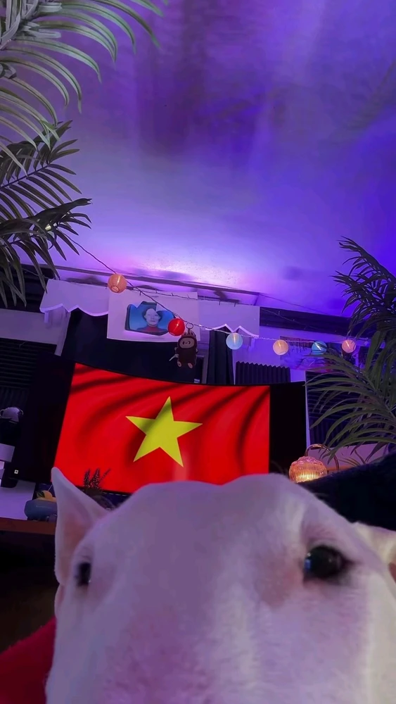 GIF uploaded by Mert