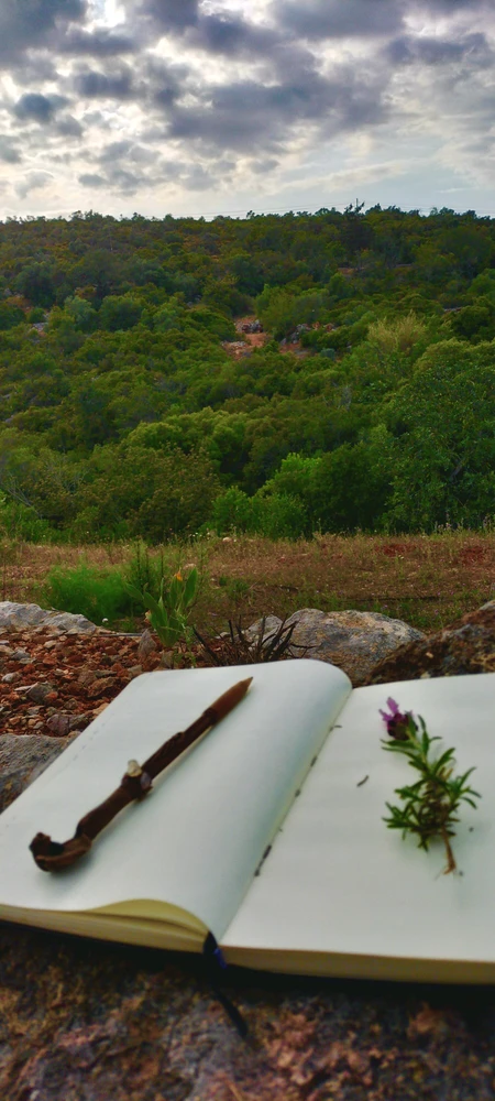 GIF uploaded by Rodrigo