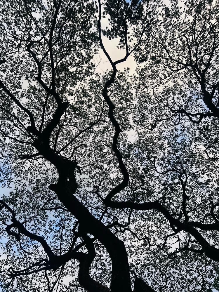 GIF uploaded by Charms