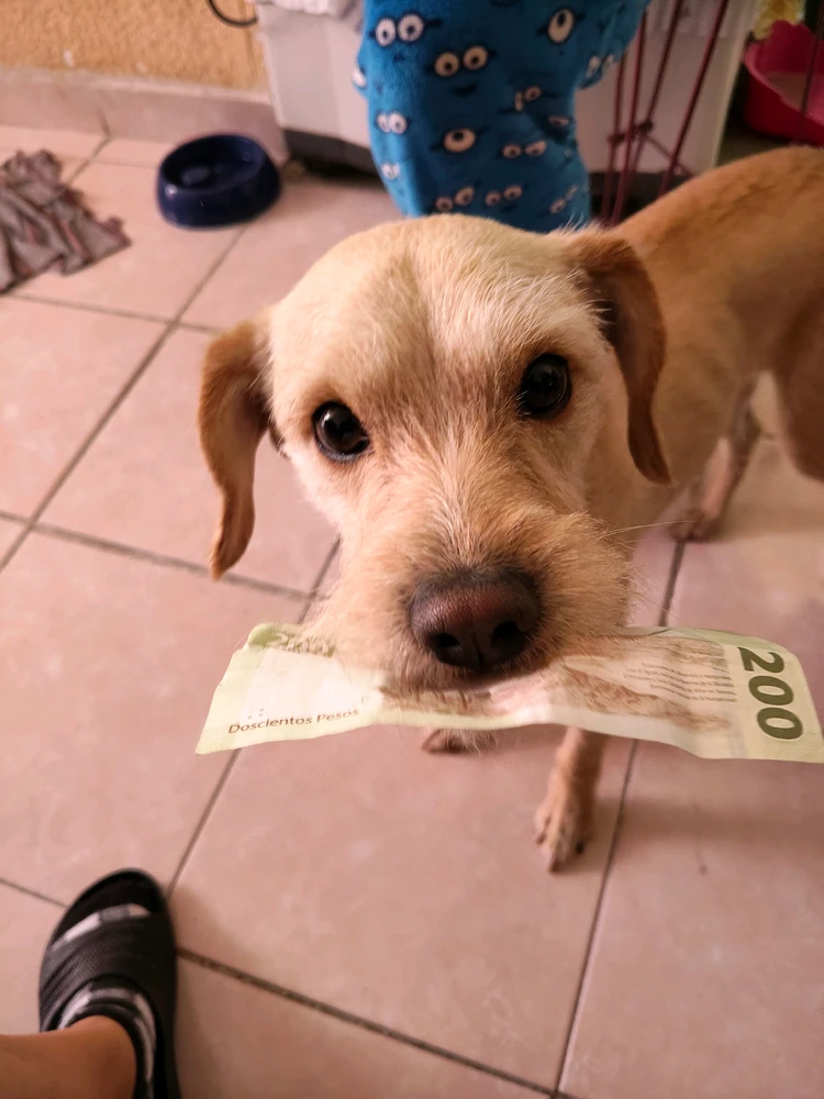 GIF uploaded by Cristal