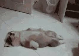 GIF uploaded by Jam