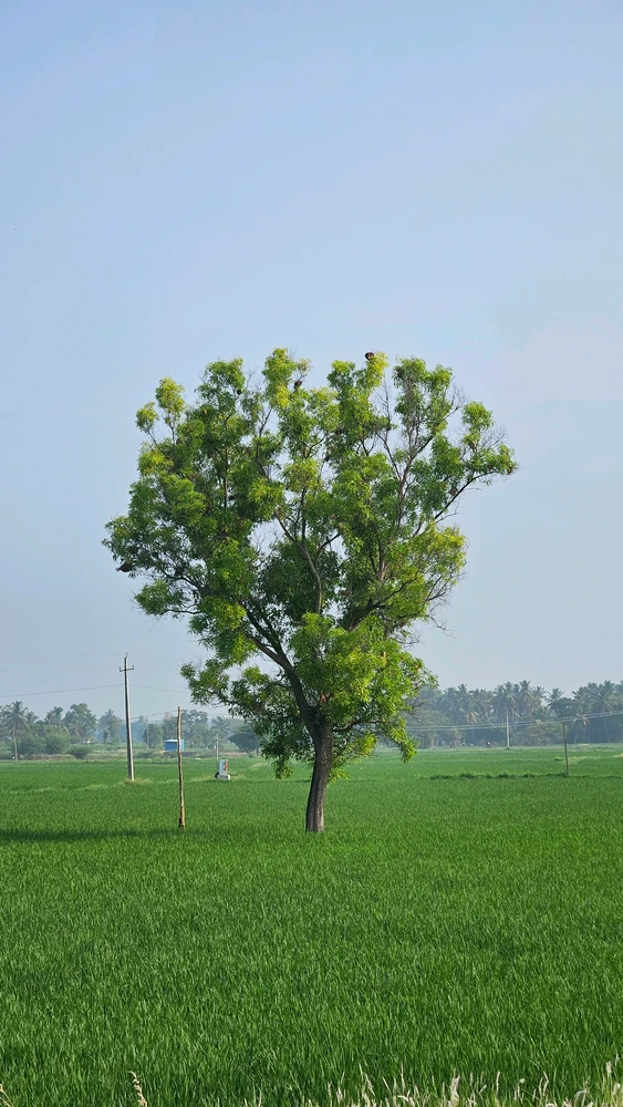 GIF uploaded by Ferhan