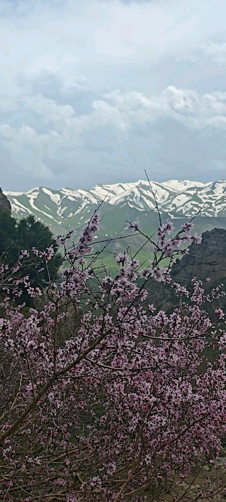 Image uploaded by Halil