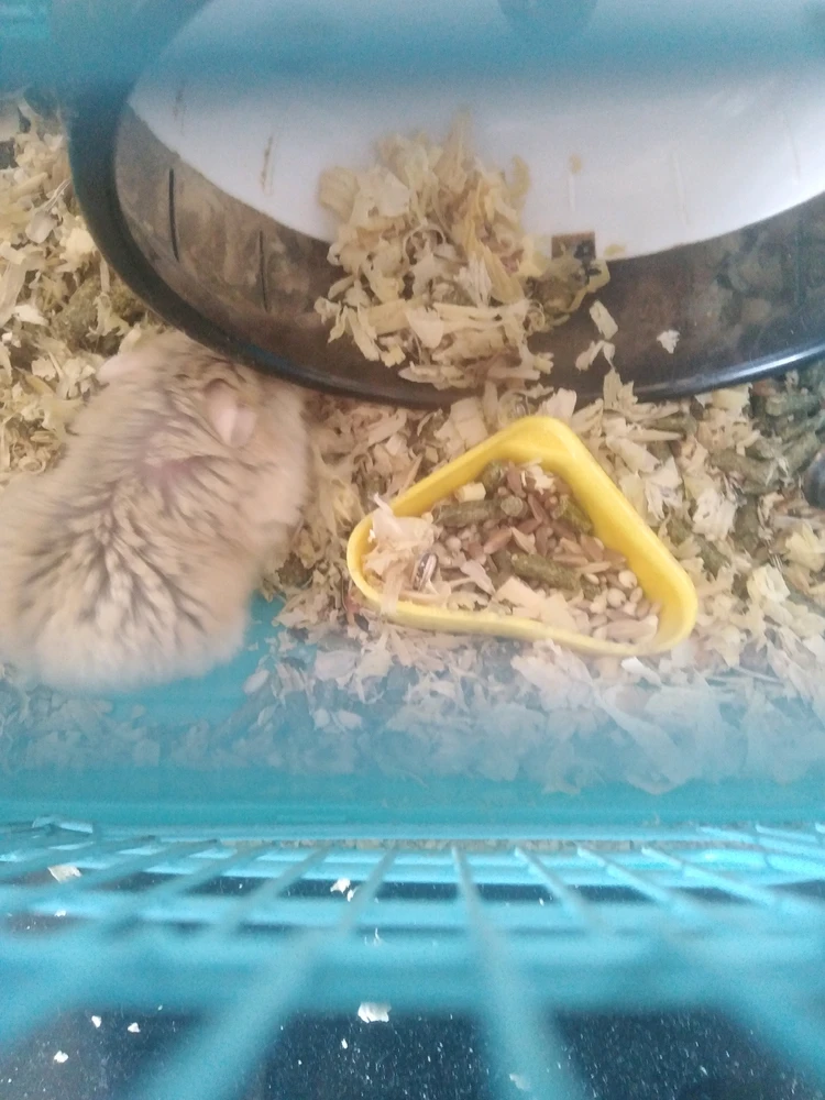 GIF uploaded by Lecind