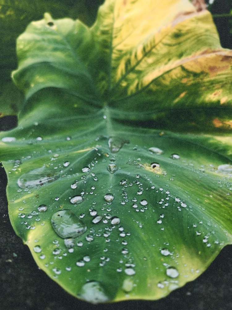 GIF uploaded by Sagar