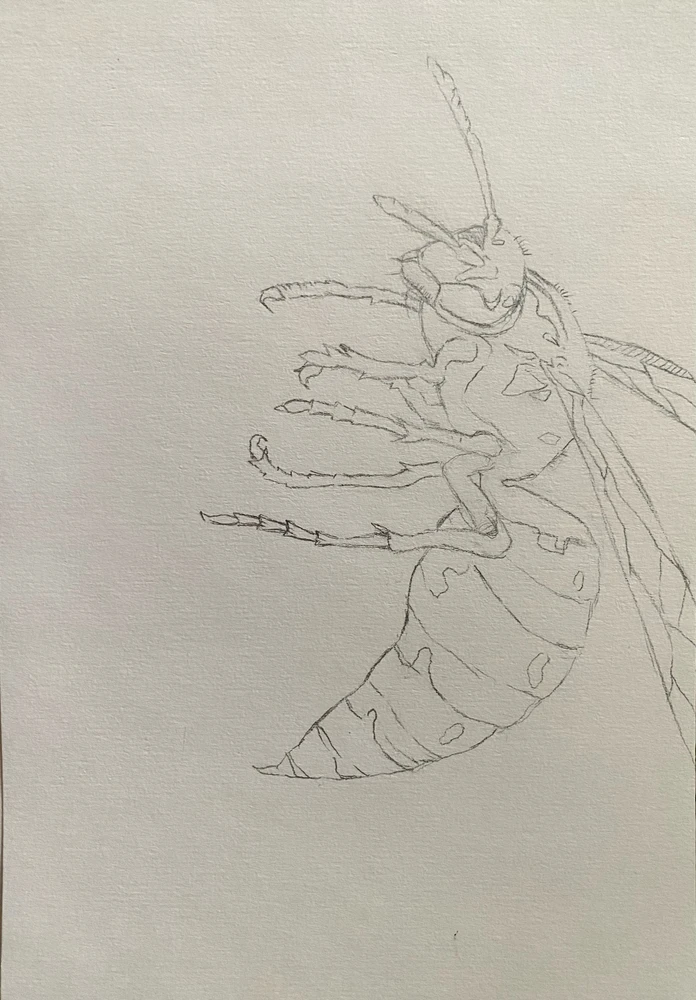 Image uploaded by na