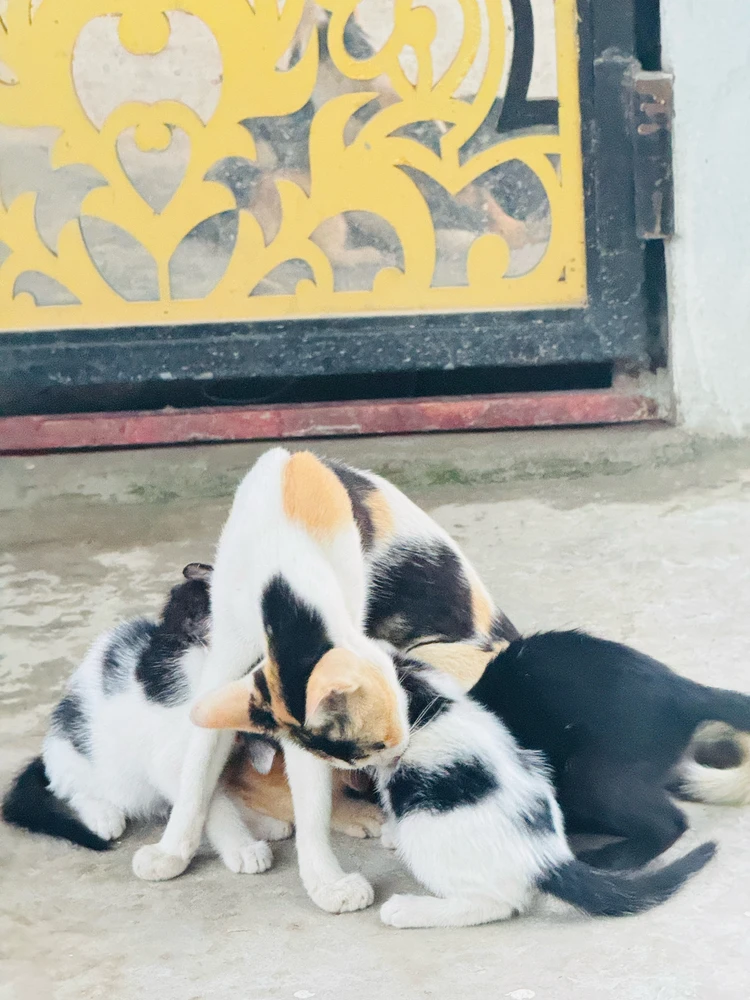 GIF uploaded by Hemail