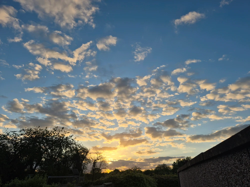 GIF uploaded by Chas
