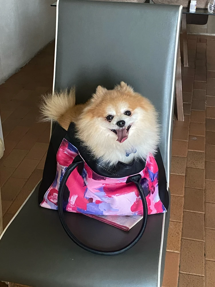GIF uploaded by Viny