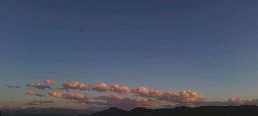 Image uploaded by Kas