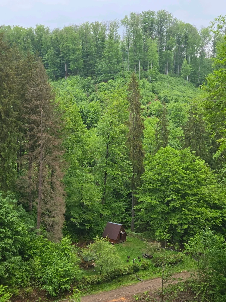 GIF uploaded by Patrik