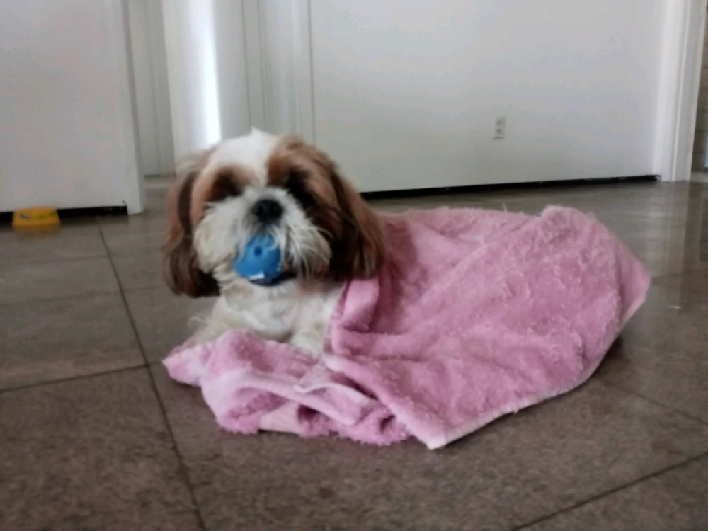 GIF uploaded by Caique