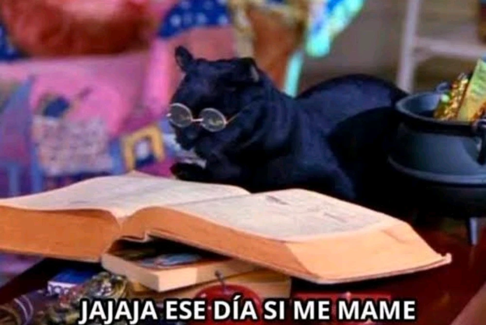 GIF subido por Sheridan