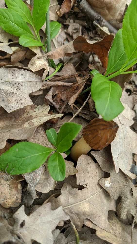Image uploaded by Таня