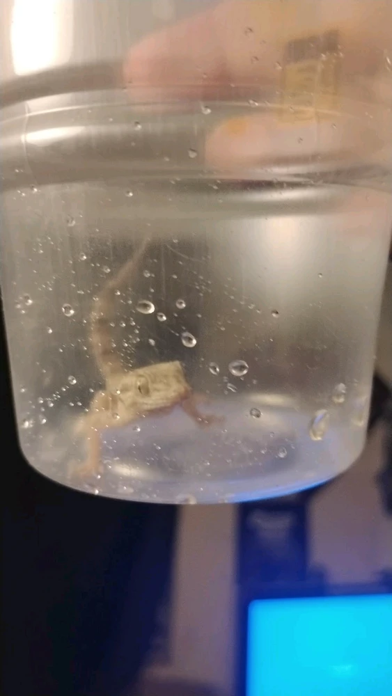 GIF uploaded by Nano tek