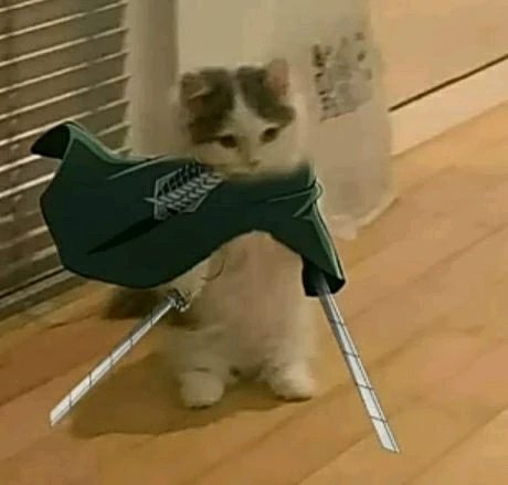 GIF uploaded by Arman