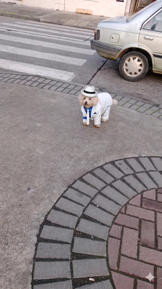 GIF subido por Francisco