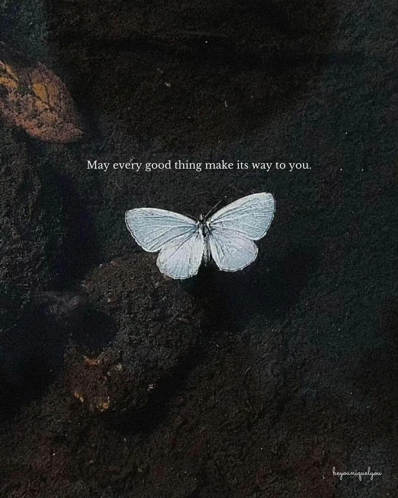 GIF uploaded by Larry