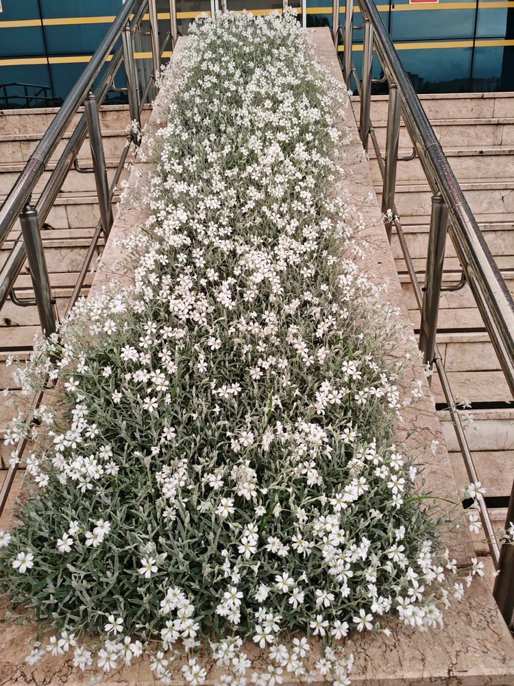 Image uploaded by joudi