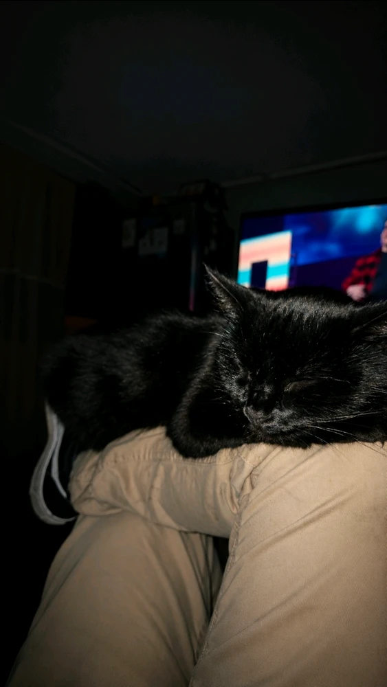 GIF uploaded by shaw