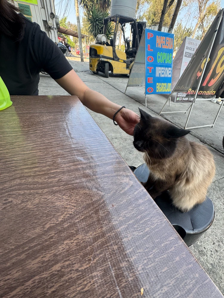 GIF subido por Haziel
