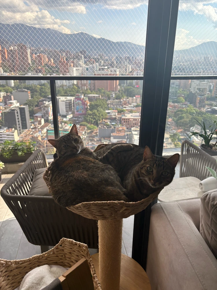 GIF uploaded by Lief