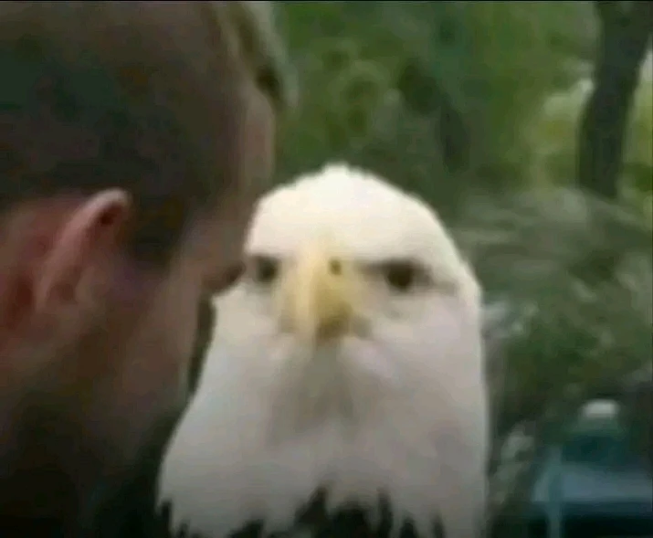GIF uploaded by JoseTr