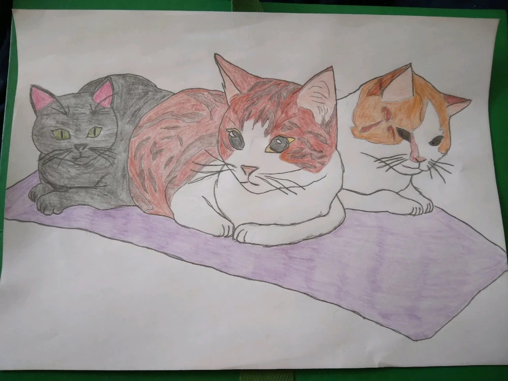 GIF ajouté par Ash