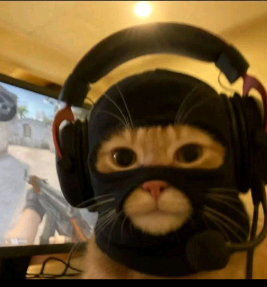 GIF uploaded by Hasan
