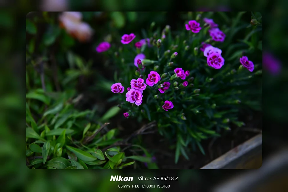 Image uploaded by 斌