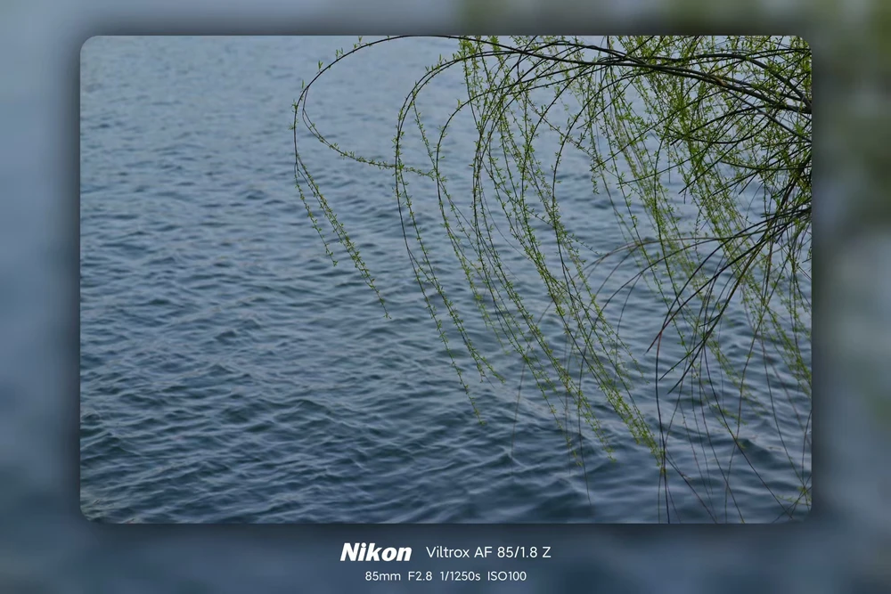 Image uploaded by 斌