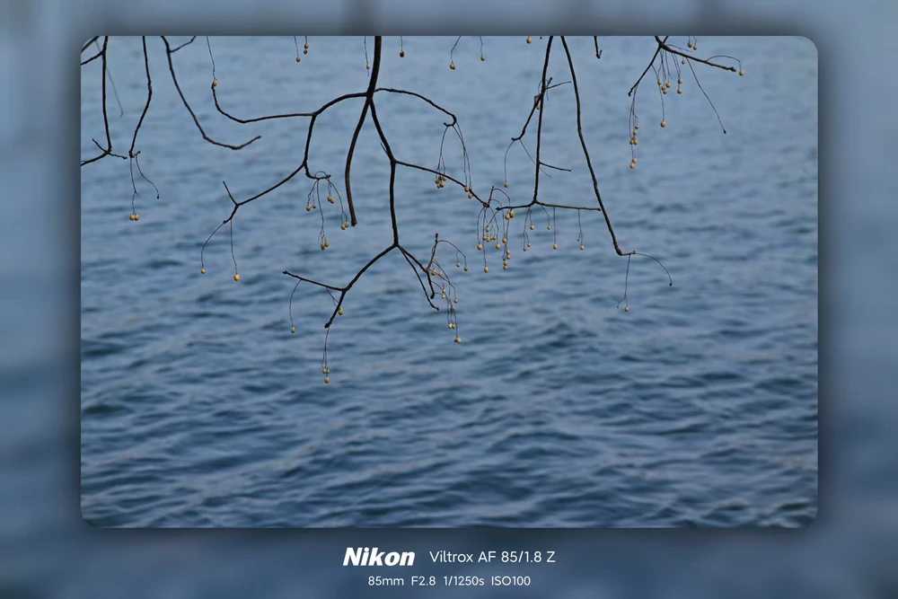 Image uploaded by 斌