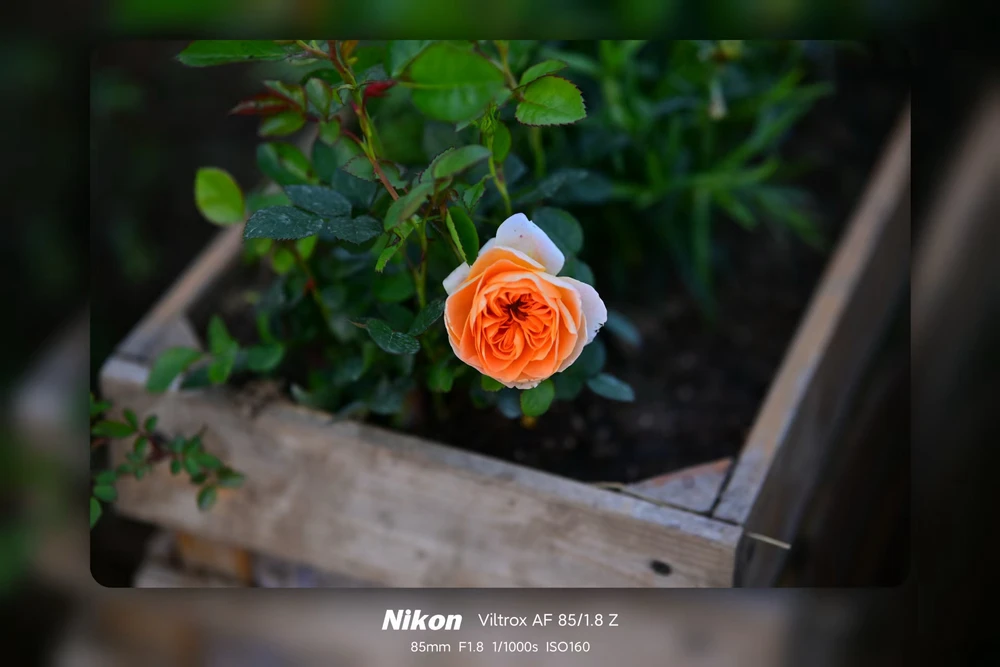 Image uploaded by 斌